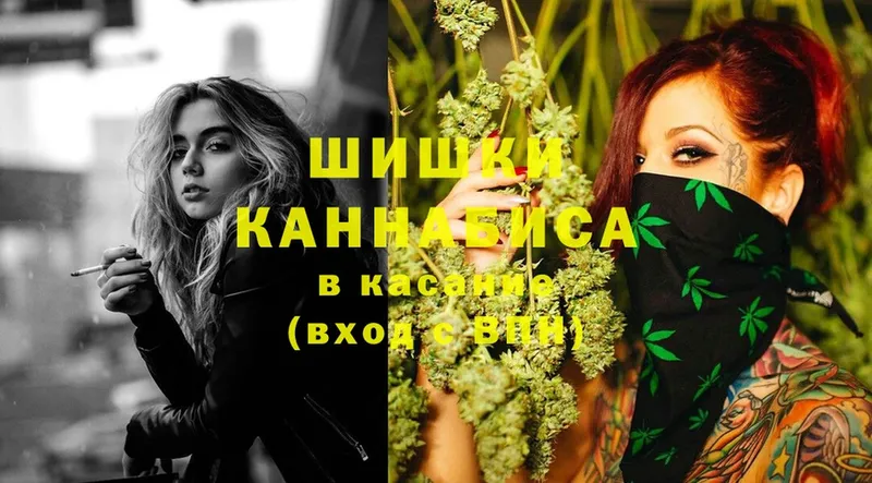 Канабис White Widow  Махачкала 